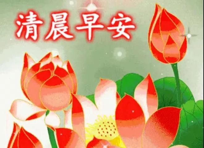 励志早安鸡汤简短_早安正能量励志鸡汤心灵语录_早安心灵鸡汤励志语录