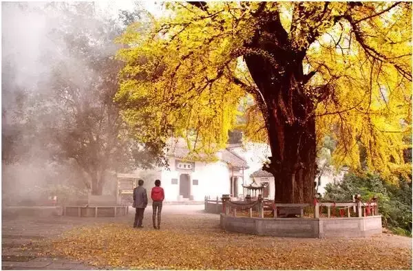 三国蜀汉我做主5200_三国蜀汉我做主在线阅读_三国之蜀汉我做主最新章节