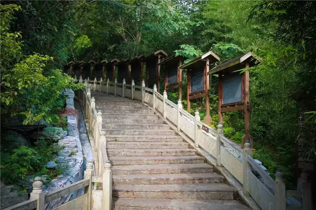 三国之蜀汉我做主最新章节_三国蜀汉我做主在线阅读_三国蜀汉我做主5200