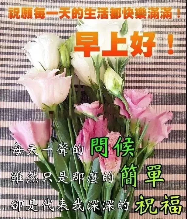 鸡汤语录晚安_适合发晚安的心灵鸡汤_晚安心灵鸡汤的句子