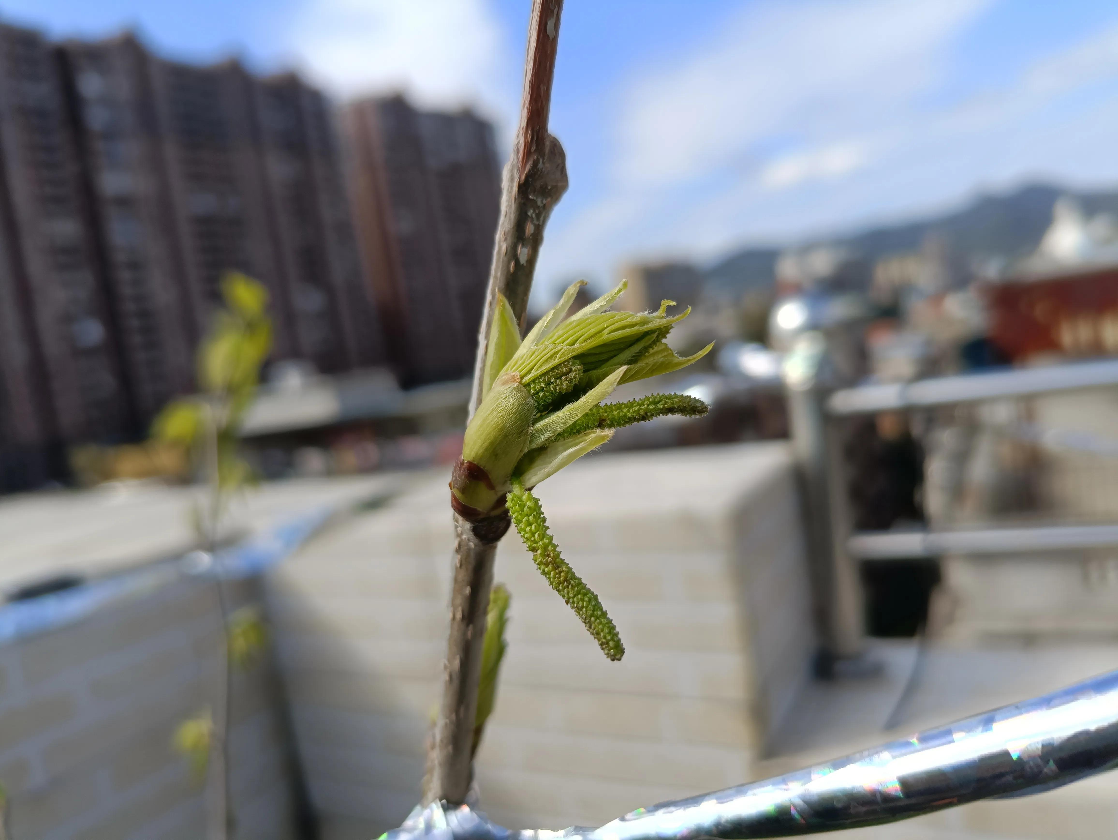 鸡汤作家炼成心灵是谁写的_因为心灵鸡汤而成功的人_心灵鸡汤:作家是怎样炼成的