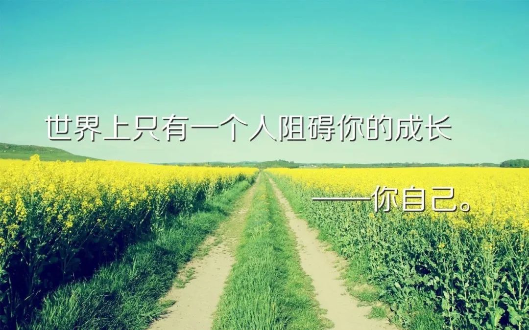 鸡汤心灵配图_心灵鸡汤图_鸡汤心灵素材图片