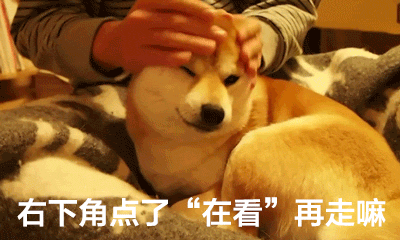 正能量鸡汤故事_心灵鸡汤故事正能量_经典鸡汤能量语录