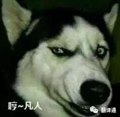 语录鸡汤心灵英语翻译_语录鸡汤心灵英语怎么写_英语心灵鸡汤语录