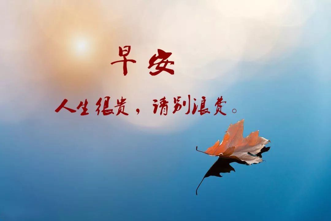励志语录鸡汤短句_励志语录心灵鸡汤简短_心灵鸡汤经典语录励志