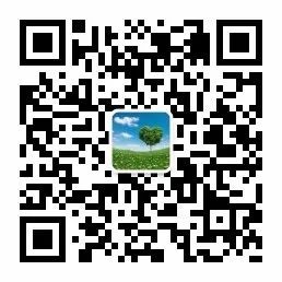 心灵鸡汤英文txt_很贱的心灵毒鸡汤_心灵毒鸡汤段子