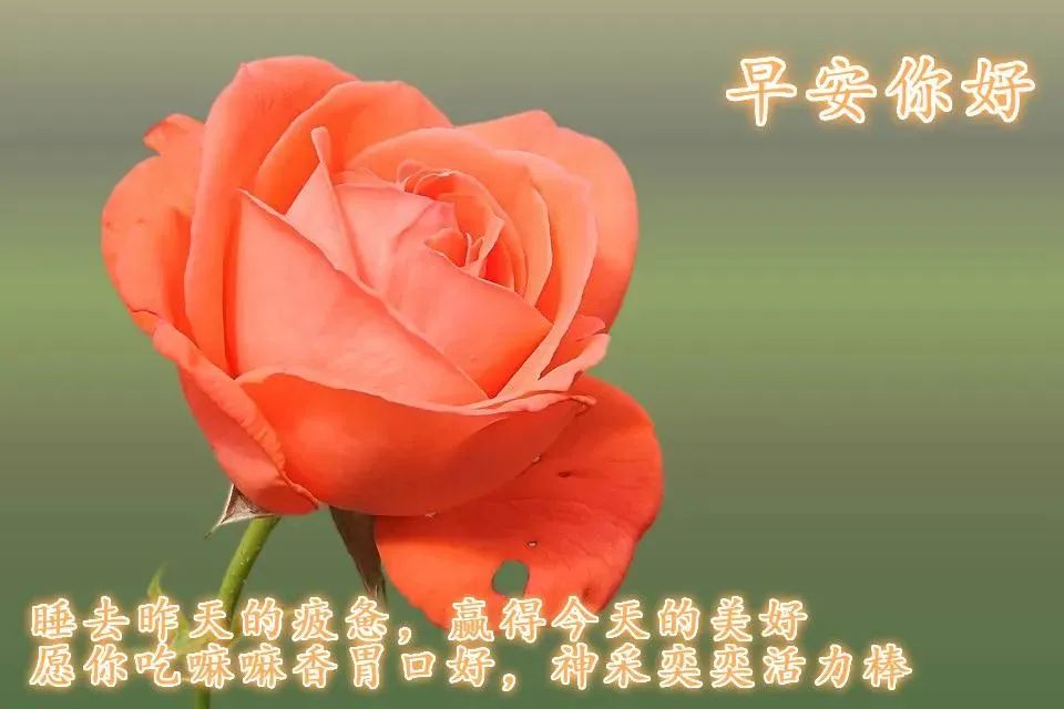 心灵鸡汤语录短句_心灵鸡汤语言_微商心灵鸡汤经典语录