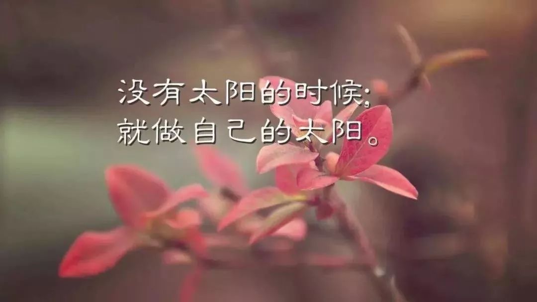 心灵鸡汤语录短句_心灵鸡汤语言_微商心灵鸡汤经典语录