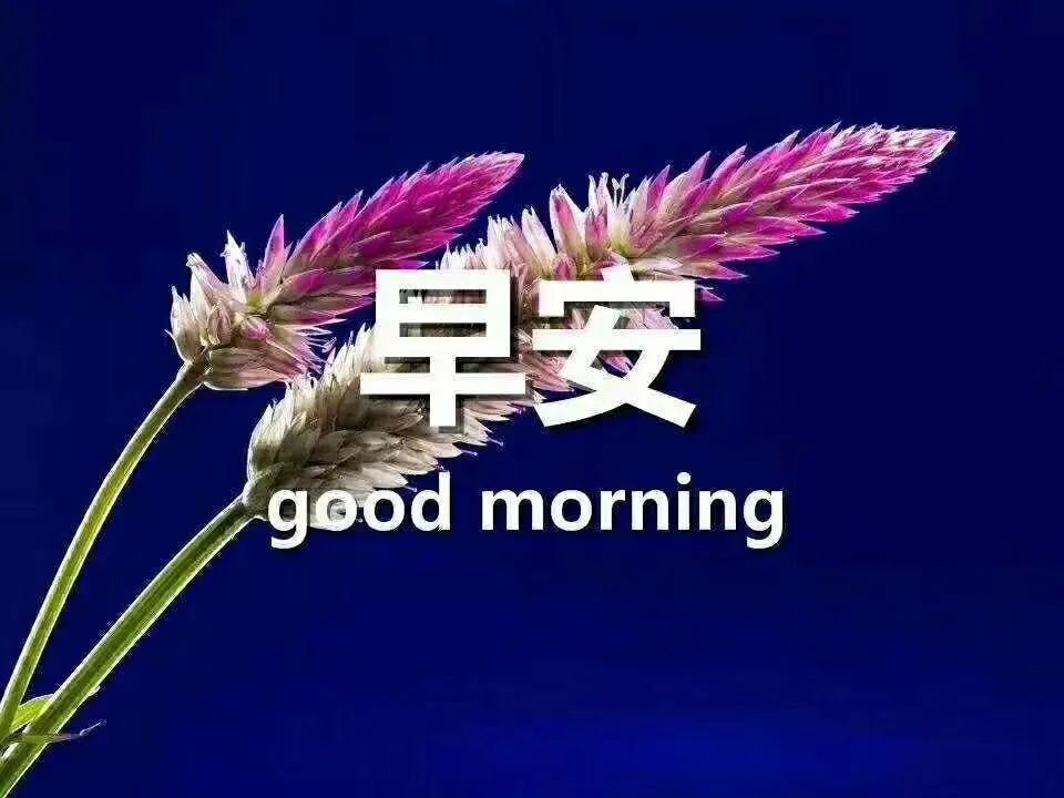 瑜伽心灵鸡汤经典语录_瑜伽鸡汤短句_瑜伽鸡汤文