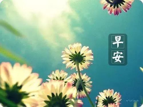 瑜伽心灵鸡汤经典语录_瑜伽鸡汤短句_瑜伽鸡汤文