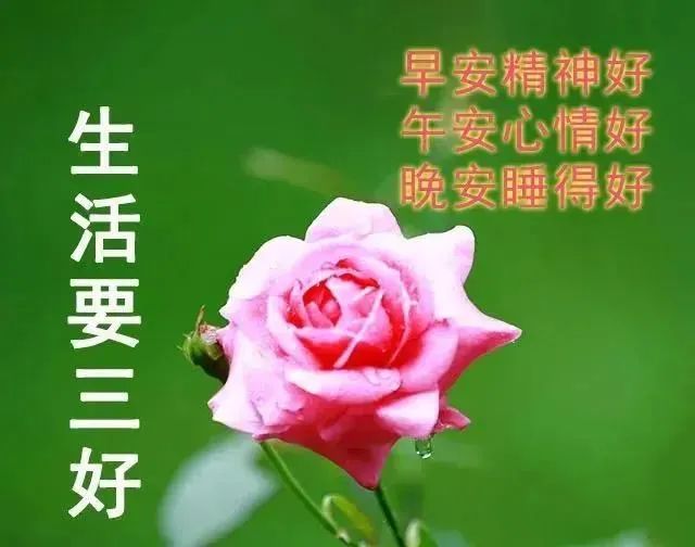 中考心灵鸡汤经典语录_中考心灵鸡汤短句_中考励志的心灵鸡汤