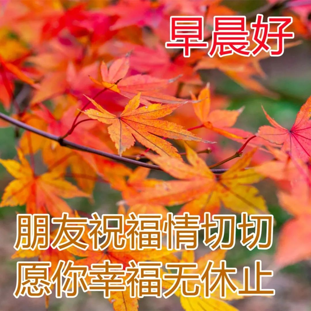 正能量心灵鸡汤短句_经典鸡汤能量语录_能量鸡汤心灵短句图片