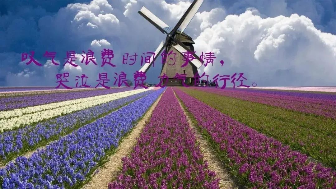 心灵鸡汤励志文章_励志鸡汤心灵文章素材_励志鸡汤心灵文章摘抄