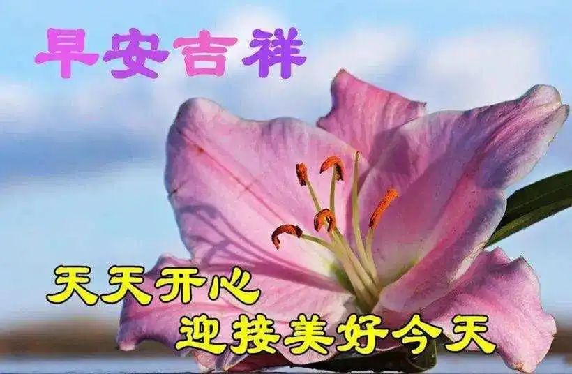 励志鸡汤心灵文章摘抄_励志鸡汤心灵文章素材_心灵鸡汤励志文章