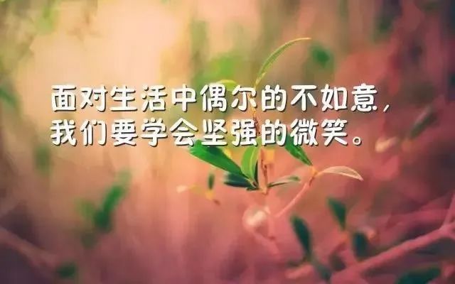 励志鸡汤心灵文章素材_心灵鸡汤励志文章_励志鸡汤心灵文章摘抄
