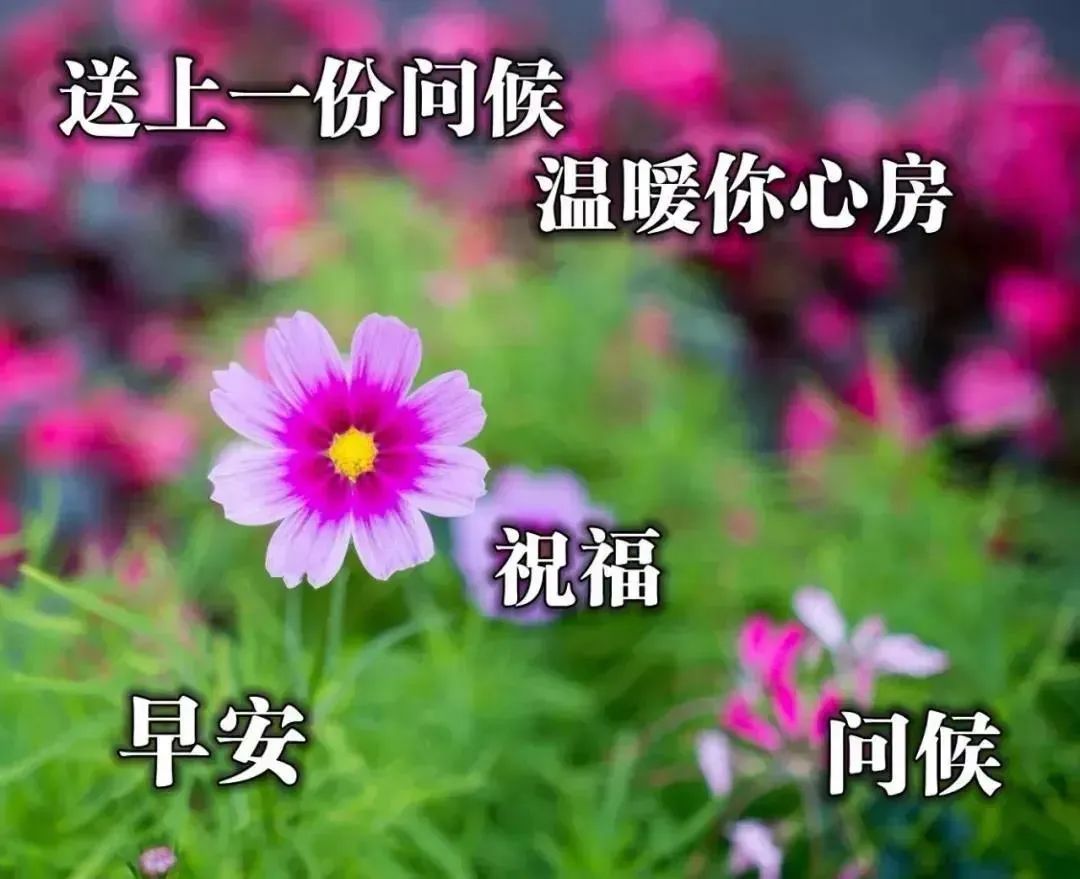 励志鸡汤心灵文章素材_励志鸡汤文章精选_心灵鸡汤励志文章