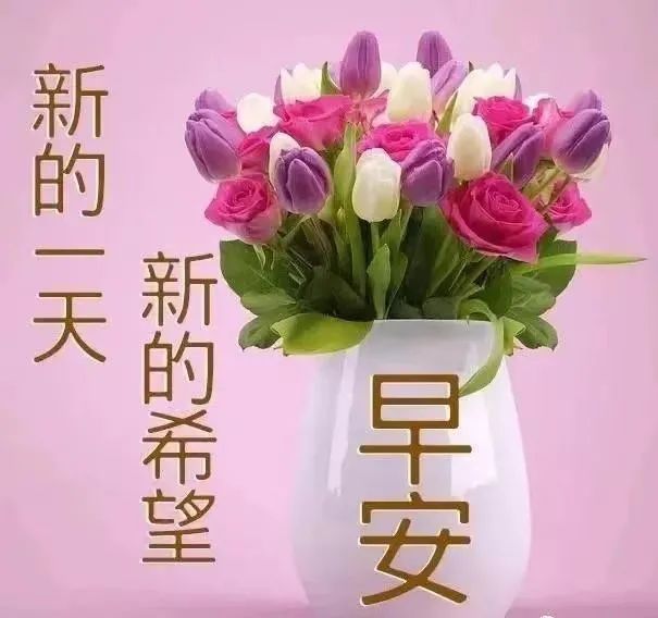 心灵鸡汤励志文章_励志心灵鸡汤短文_励志鸡汤心灵文章素材