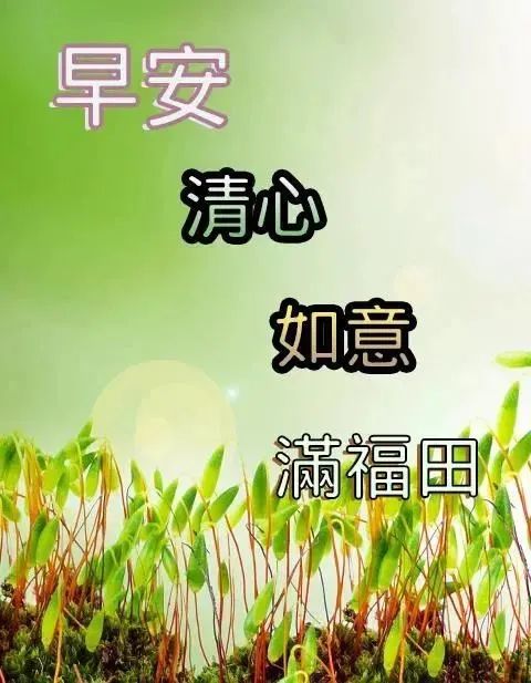 励志心灵鸡汤短文_励志鸡汤心灵文章素材_心灵鸡汤励志文章