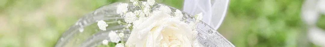 反心灵鸡汤的文章_心灵鸡汤的反话_心灵鸡汤反问句