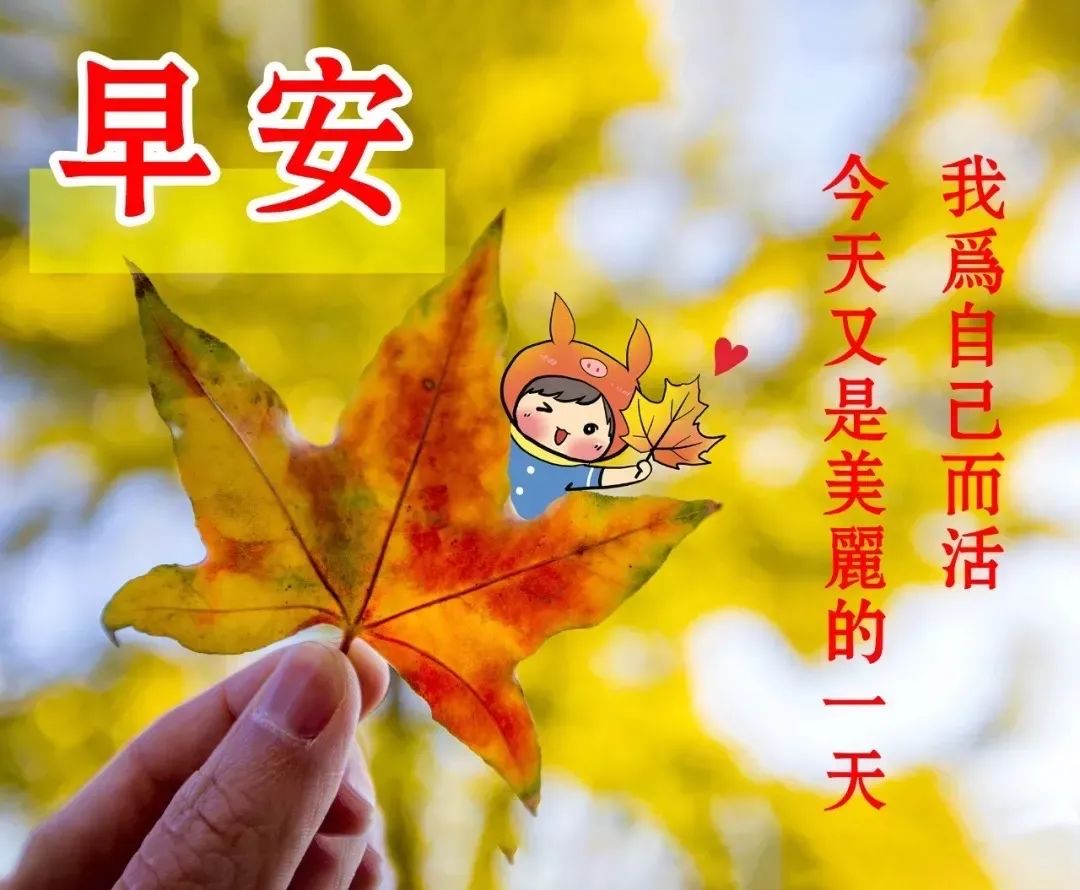心灵正能量励志语录短_关于励志的反鸡汤语录_心灵鸡汤励志经典语录
