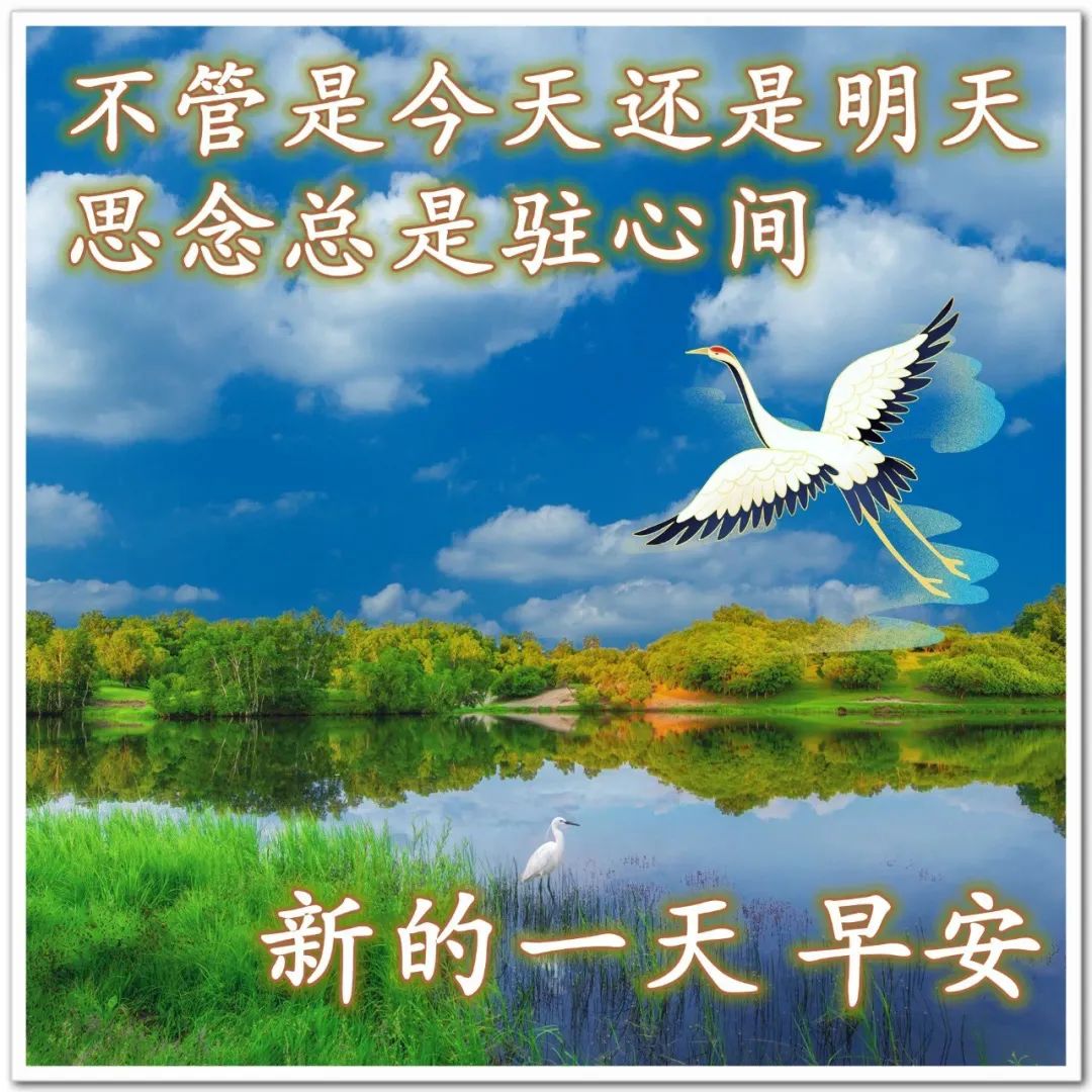 微信心灵鸡汤句子_微信心灵鸡汤经典语录_鸡汤心灵短句