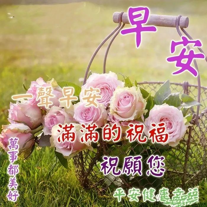 唯美的心灵鸡汤句子说说图片_唯美鸡汤心灵图片高清_心灵鸡汤唯美图片