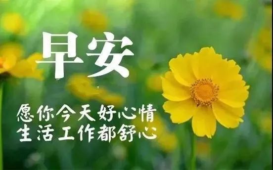 心灵鸡汤唯美图片_唯美的心灵鸡汤句子说说图片_唯美鸡汤心灵图片高清