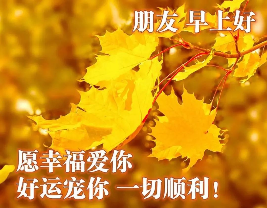 唯美的心灵鸡汤句子说说图片_唯美鸡汤心灵图片高清_心灵鸡汤唯美图片