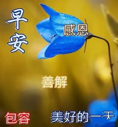 心灵鸡汤唯美图片_唯美鸡汤心灵图片高清_唯美的心灵鸡汤句子说说图片