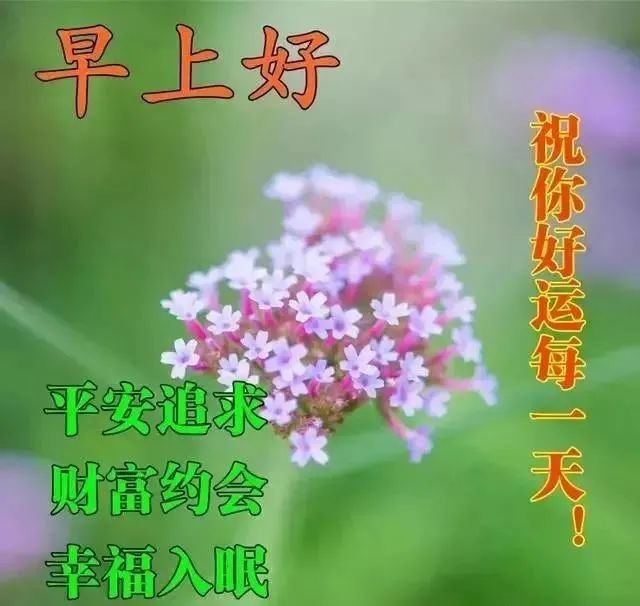 唯美的心灵鸡汤句子说说图片_心灵鸡汤唯美图片_唯美鸡汤心灵图片高清