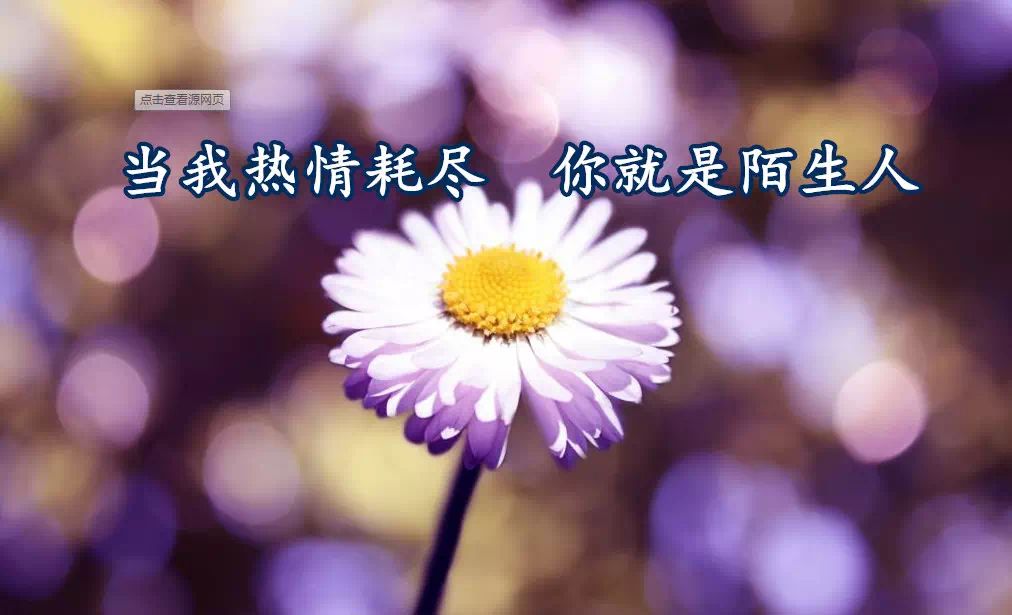 唯美鸡汤心灵图片高清_心灵鸡汤唯美图片_唯美的心灵鸡汤句子说说图片