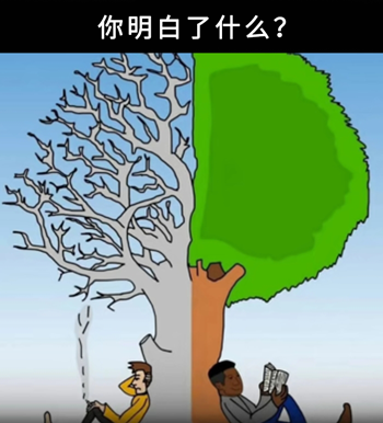 致女人的心灵鸡汤_很贱的心灵毒鸡汤_于丹鸡汤心灵砒霜