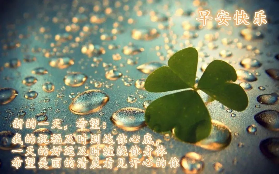 爱情心灵毒鸡汤_高考心灵毒鸡汤_心灵鸡汤图片带字