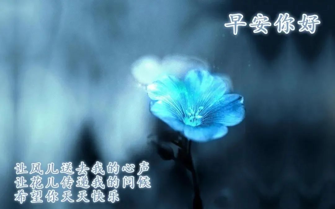 爱情心灵毒鸡汤_高考心灵毒鸡汤_心灵鸡汤图片带字