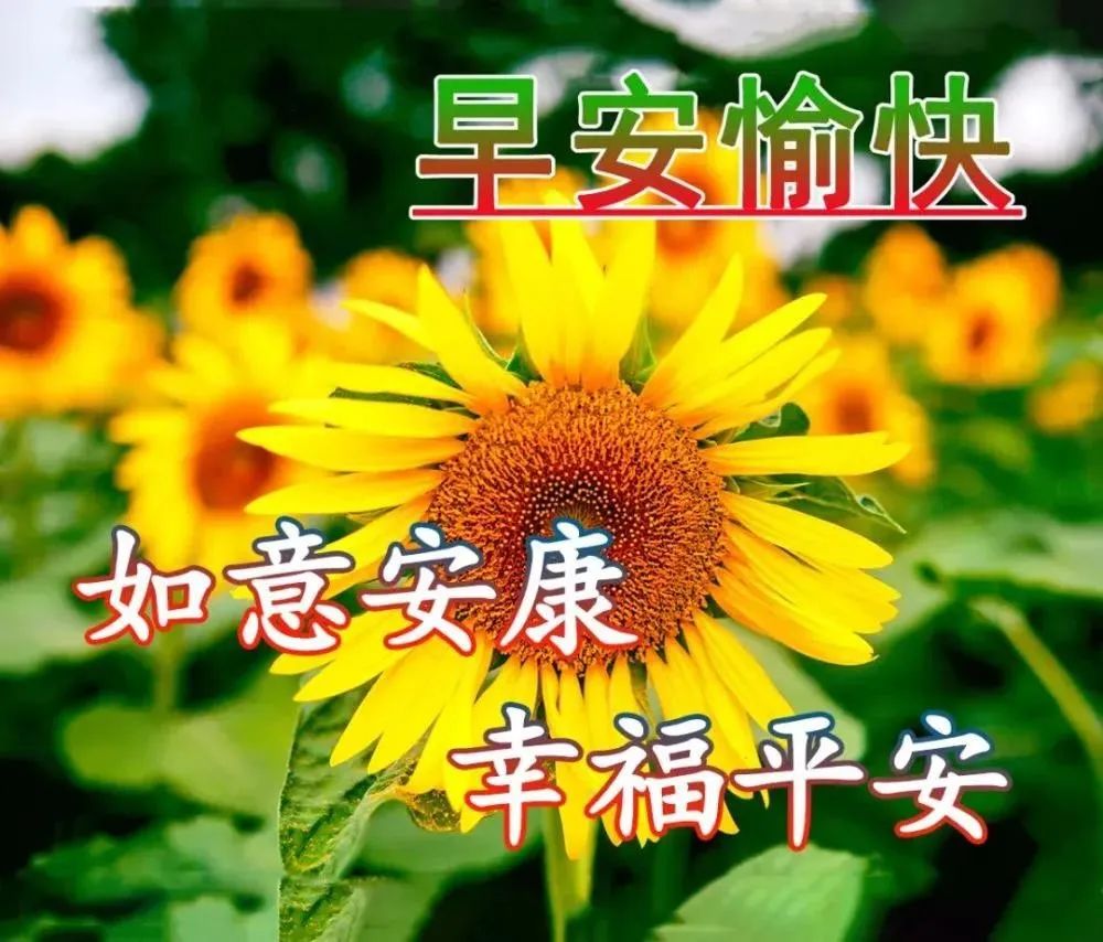 心灵鸡汤泛滥_心灵鸡汤泛滥成灾_如何看待心灵鸡汤泛滥