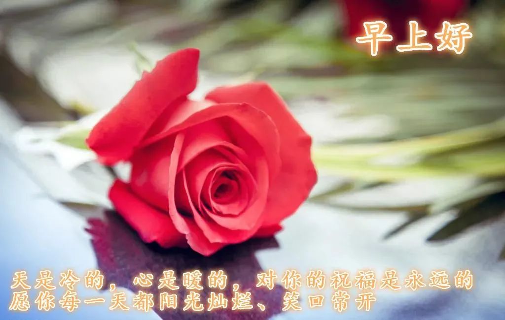 如何看待心灵鸡汤泛滥_心灵鸡汤泛滥成灾_心灵鸡汤泛滥