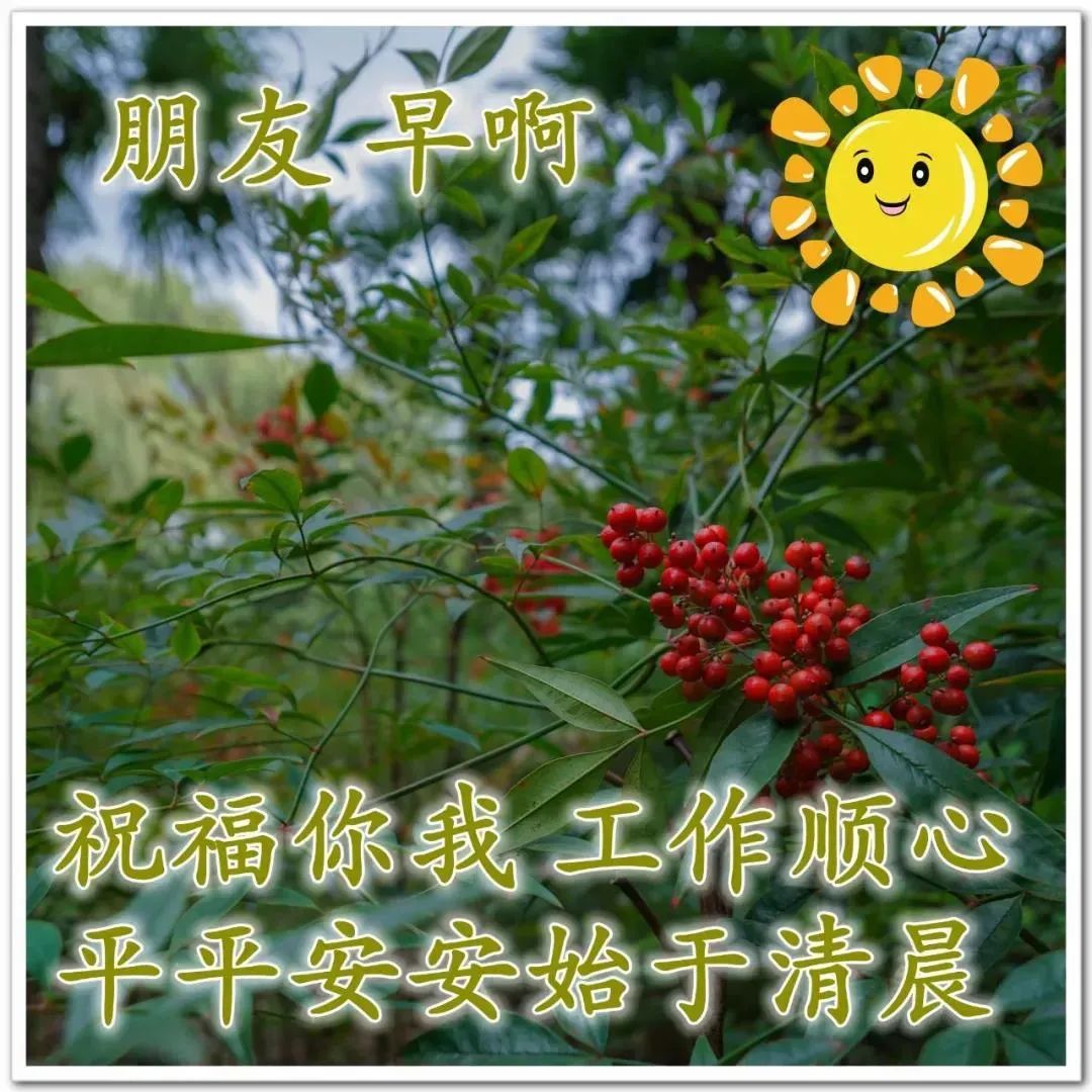 唯美鸡汤句子心灵感悟短句_唯美鸡汤短句_心灵鸡汤唯美句子