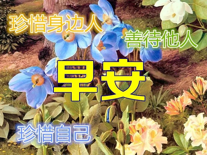 唯美鸡汤句子心灵感悟短句_心灵鸡汤唯美句子_唯美鸡汤短句