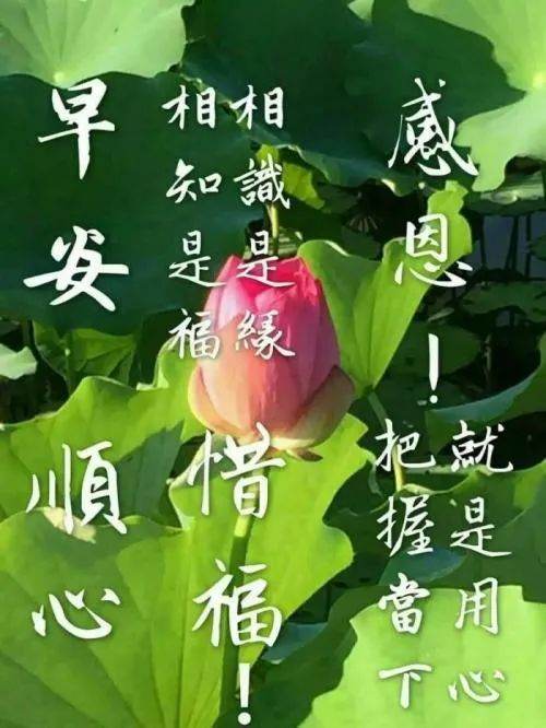 心灵鸡汤全集让心灵去旅行_心灵鸡汤旅游的句子_旅程心灵鸡汤