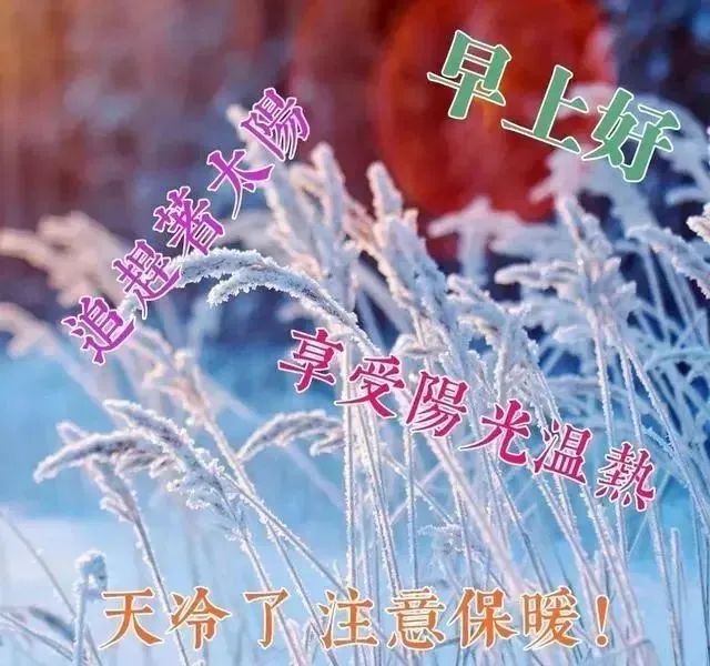 心灵鸡汤全集让心灵去旅行_心灵鸡汤旅游的句子_旅程心灵鸡汤