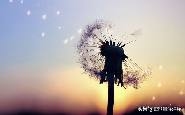 励志鸡汤心灵经典故事图片_心灵鸡汤经典故事励志_励志心灵鸡汤小故事