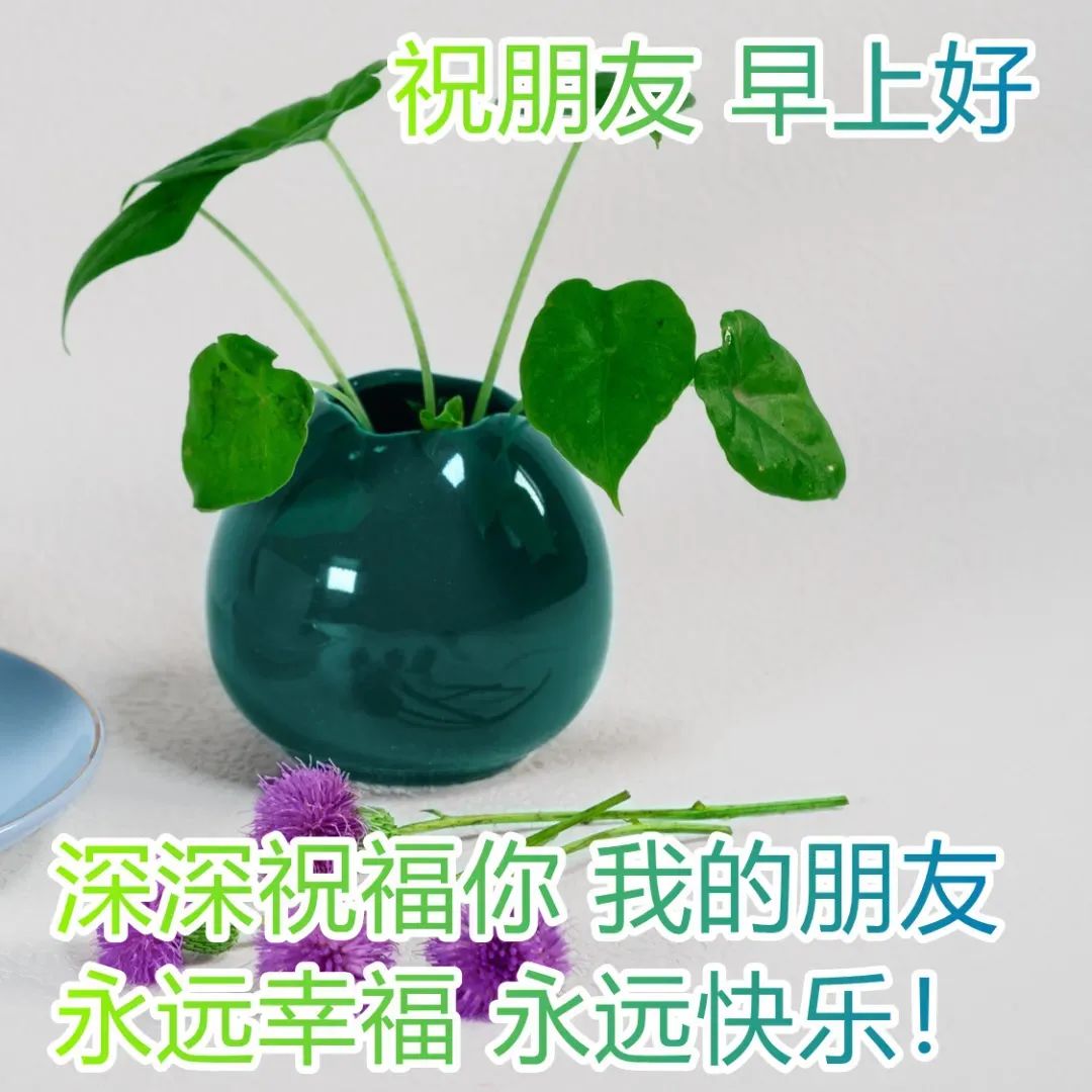 鸡汤心灵文案_微信心灵鸡汤_心灵鸡汤微信朋友圈