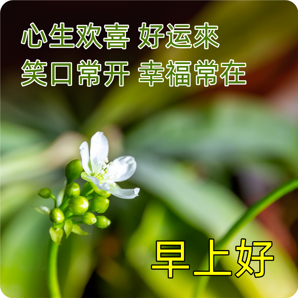 心灵鸡汤微信朋友圈_微信心灵鸡汤_鸡汤心灵文案