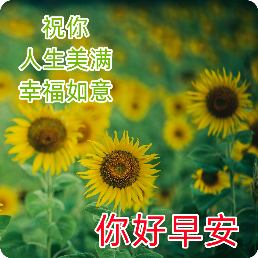 心灵鸡汤微信朋友圈_微信心灵鸡汤_鸡汤心灵文案