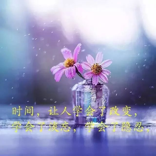宋小宝经典鸡汤语录_心灵毒鸡汤经典语录_心灵鸡汤经典语录图片
