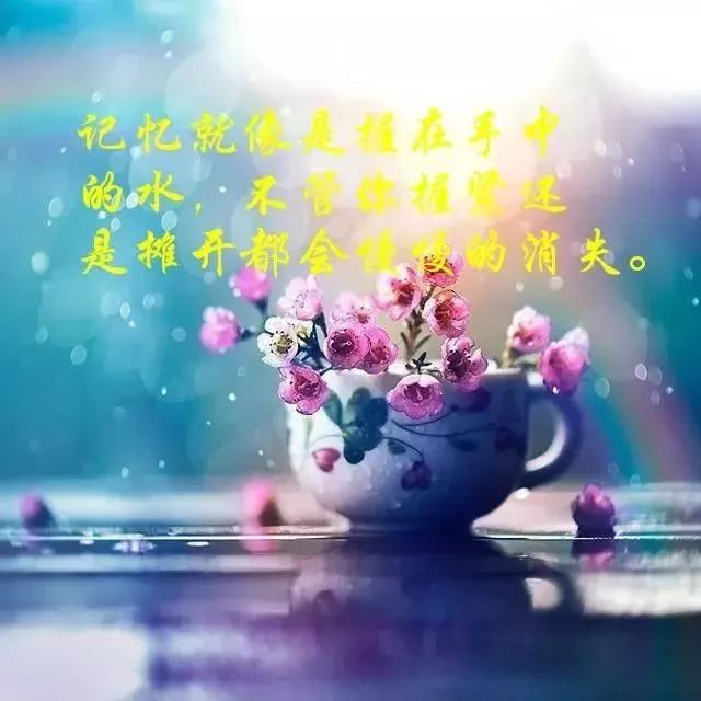 心灵鸡汤经典语录图片_宋小宝经典鸡汤语录_心灵毒鸡汤经典语录