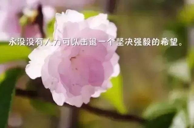励志幽默鸡汤心灵鸡汤文案_幽默搞笑的励志心灵鸡汤_幽默的励志心灵鸡汤