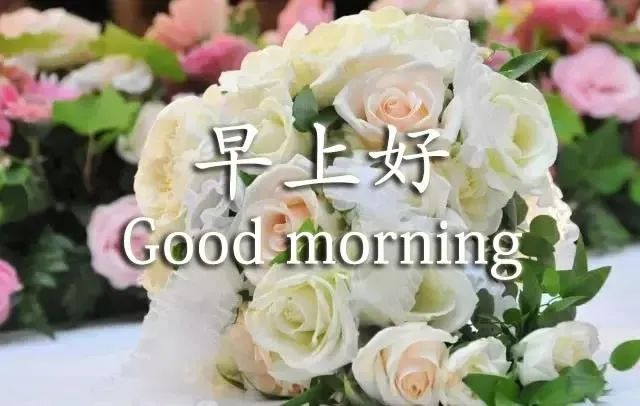 唯美心灵鸡汤句子_心灵鸡汤语录唯美_唯美心灵鸡汤经典语录