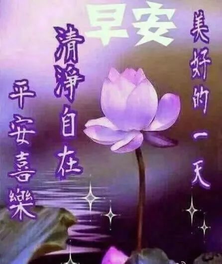 唯美心灵鸡汤经典语录_唯美心灵鸡汤句子_心灵鸡汤语录唯美