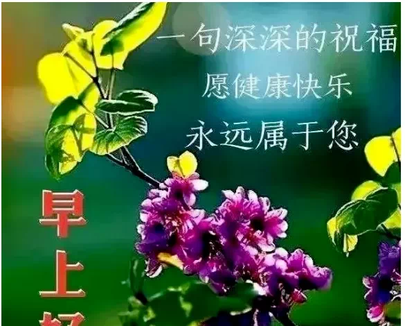 唯美心灵鸡汤句子_心灵鸡汤语录唯美_唯美心灵鸡汤经典语录